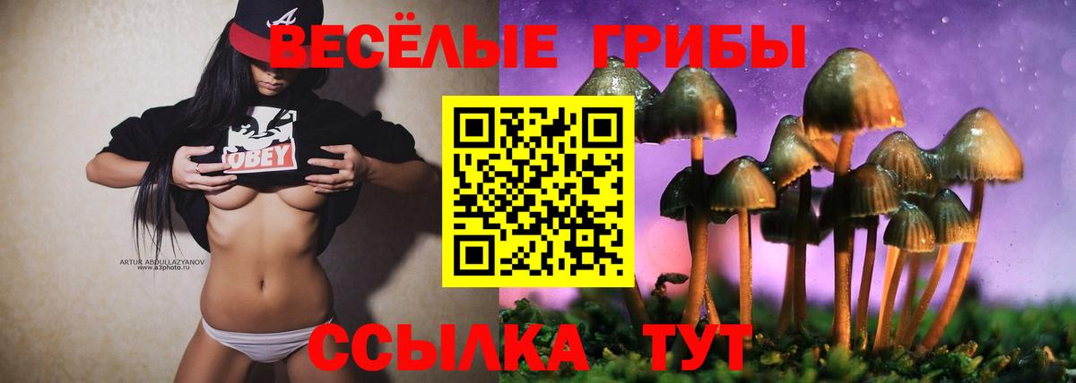 Ирбит  Псилоцибиновые грибы прущие грибы  Вход с VPN 